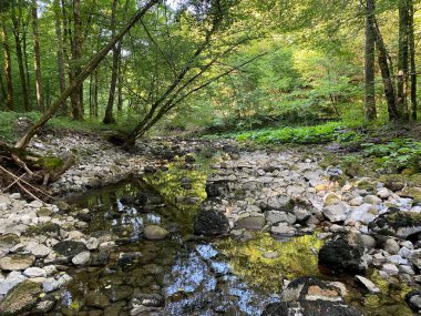 Kupica Nehri 'nin akışı, Karst Dağı pınarının tam altında (Tok rijeke Kupice neposredno pod goranskim krskim vrelom, Mala Lesnica - Gorski kotar, Hrvatska)