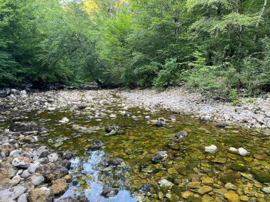 Kupica Nehri 'nin akışı, Karst Dağı pınarının tam altında (Tok rijeke Kupice neposredno pod goranskim krskim vrelom, Mala Lesnica - Gorski kotar, Hrvatska)