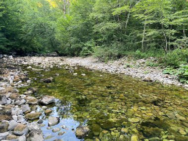 Kupica Nehri 'nin akışı, Karst Dağı pınarının tam altında (Tok rijeke Kupice neposredno pod goranskim krskim vrelom, Mala Lesnica - Gorski kotar, Hrvatska)