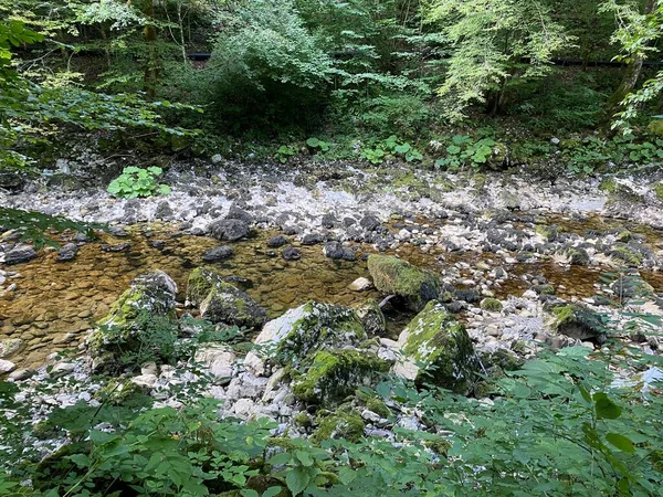 山のカルスト春の真下にあるクピカ川のコース Tok Rijke Kupice Neposredno Pod Goranskim Krskim Vrelom Mala — ストック写真