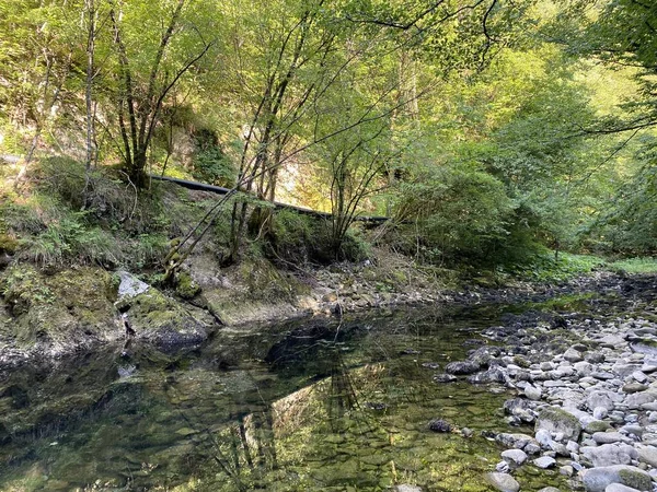 Πορεία Του Ποταμού Κούπιτσα Ακριβώς Κάτω Από Την Πηγή Του — Φωτογραφία Αρχείου