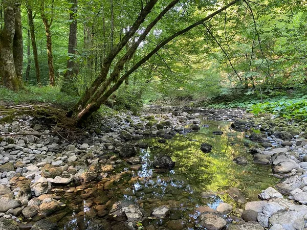 Kupica Nehri Nin Akışı Karst Dağı Pınarının Tam Altında Tok — Stok fotoğraf