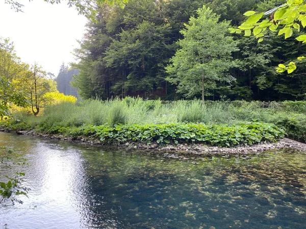 山のカルスト春の真下にあるクピカ川のコース Tok Rijke Kupice Neposredno Pod Goranskim Krskim Vrelom Mala — ストック写真