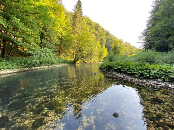 Corso Del Fiume Kupica Direttamente Sotto Sorgente Carsica Montagna Tok — Foto Stock