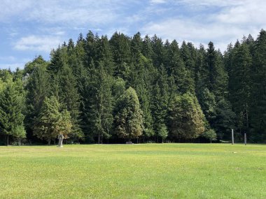 Golubinjak Forest Park in the mountainous region of Gorski kotar - Sleme, Croatia (Park suma Golubinjak u planinskoj regiji Gorskog kotara - Sleme, Hrvatska)
