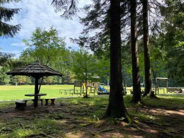 Golubinjak Forest Park in the mountainous region of Gorski kotar - Sleme, Croatia (Park suma Golubinjak u planinskoj regiji Gorskog kotara - Sleme, Hrvatska)