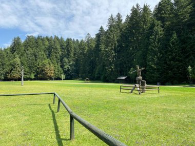 Golubinjak Forest Park in the mountainous region of Gorski kotar - Sleme, Croatia (Park suma Golubinjak u planinskoj regiji Gorskog kotara - Sleme, Hrvatska)