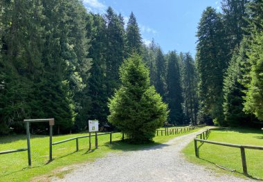 Golubinjak Forest Park in the mountainous region of Gorski kotar - Sleme, Croatia (Park suma Golubinjak u planinskoj regiji Gorskog kotara - Sleme, Hrvatska)