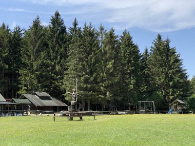 Golubinjak Forest Park in the mountainous region of Gorski kotar - Sleme, Croatia (Park suma Golubinjak u planinskoj regiji Gorskog kotara - Sleme, Hrvatska)