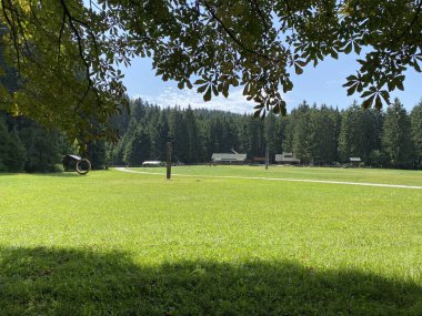 Golubinjak Forest Park in the mountainous region of Gorski kotar - Sleme, Croatia (Park suma Golubinjak u planinskoj regiji Gorskog kotara - Sleme, Hrvatska)