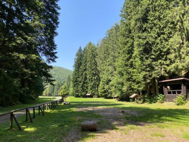 Golubinjak Forest Park in the mountainous region of Gorski kotar - Sleme, Croatia (Park suma Golubinjak u planinskoj regiji Gorskog kotara - Sleme, Hrvatska)