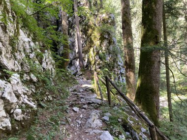 Marked tourist-hiking trail in Golubinjak forest park or Cave trail in Gorski kotar - Sleme, Croatia (Markirana turisticko-planinarska staza u park sumi Golubinjak ili Staza spilja u Gorskom kotaru)