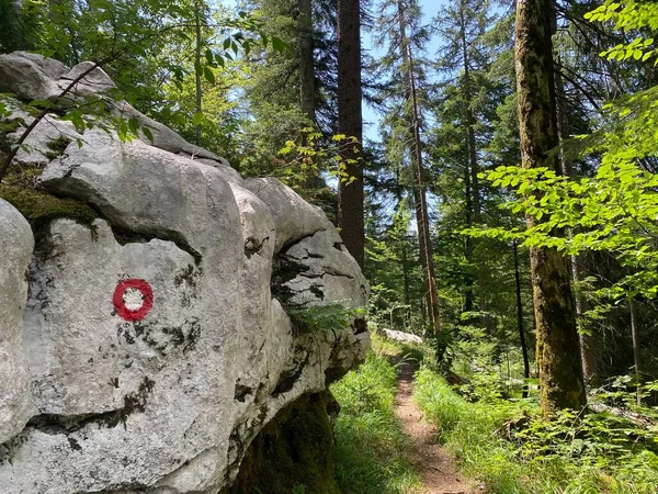 Marked Tourist Hiking Trail Golubinjak Forest Park Cave Trail Gorski — Fotografia de Stock