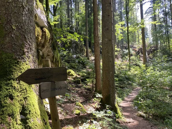 Marked Tourist Hiking Trail Golubinjak Forest Park Cave Trail Gorski — Stock Photo, Image