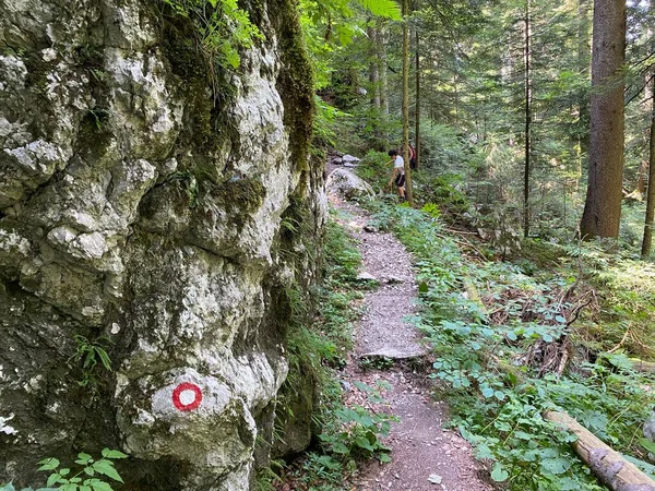 Marked Tourist Hiking Trail Golubinjak Forest Park Cave Trail Gorski — Photo