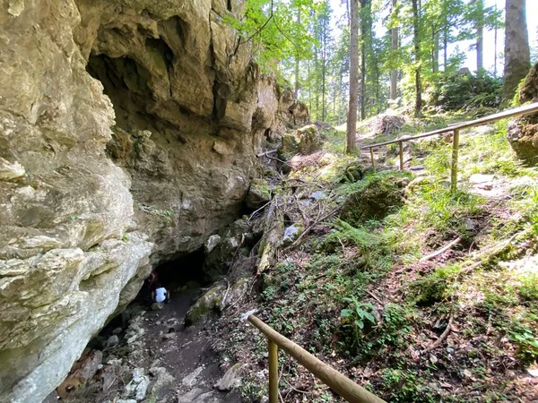 Ice Cave Forest Park Golubinjak Sleme Gorski Kotar Croatia Ledena — Photo