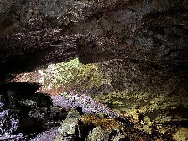 Ice Cave Forest Park Golubinjak Sleme Gorski Kotar Croatia Ledena — 图库照片
