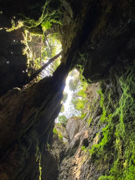 Ice Cave Forest Park Golubinjak Sleme Gorski Kotar Croatia Ledena — Fotografia de Stock