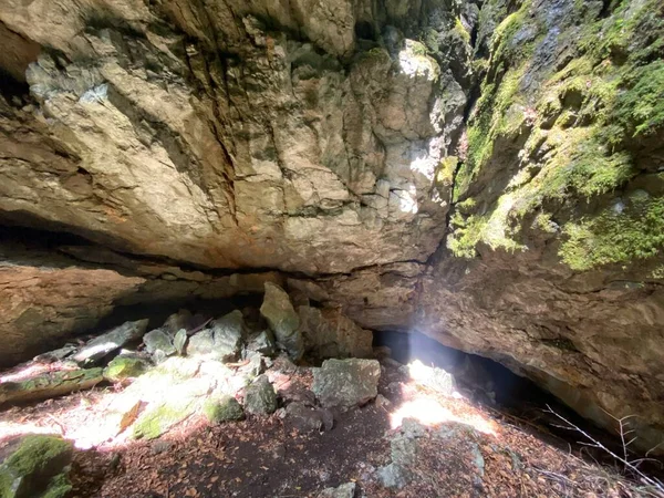 Ice Cave Forest Park Golubinjak Sleme Gorski Kotar Croatia Ledena — Foto Stock