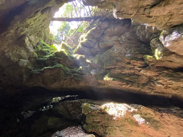Cueva Hielo Parque Forestal Golubinjak Sleme Gorski Kotar Croacia Ledena — Foto de Stock
