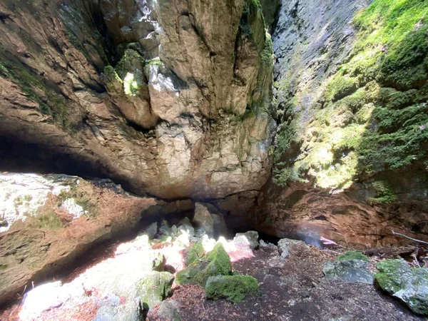 Ice Cave Forest Park Golubinjak Sleme Gorski Kotar Croatia Ledena — Φωτογραφία Αρχείου