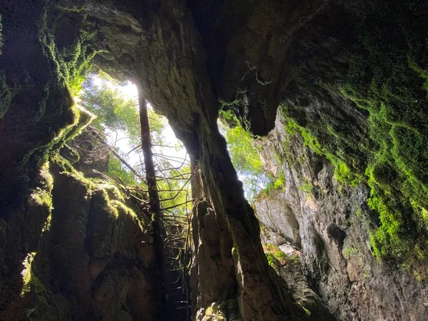 Ice Cave Forest Park Golubinjak Sleme Gorski Kotar Croatia Ledena — Stockfoto