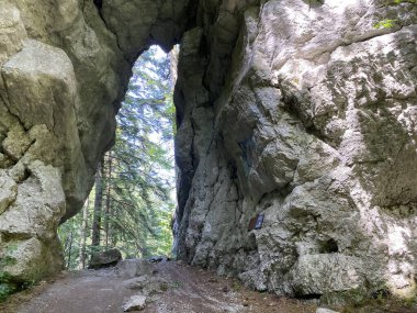 Hell's door in the forest park Golubinjak, Sleme - Gorski kotar, Croatia (Paklena vrata u park sumi Golubinjak, Sleme - Gorski kotar, Hrvatska)