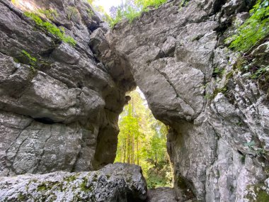 Hell's door in the forest park Golubinjak, Sleme - Gorski kotar, Croatia (Paklena vrata u park sumi Golubinjak, Sleme - Gorski kotar, Hrvatska)