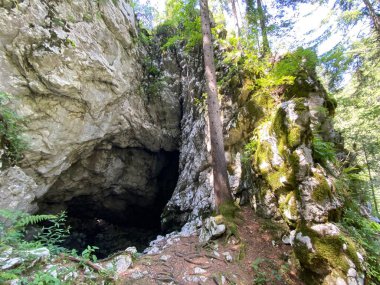 Pigeon cave in the forest park Golubinjak, Sleme - Gorski kotar, Croatia (Golubinja spilja u park sumi Golubinjak, Sleme - Gorski kotar, Hrvatska)