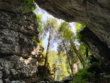 Pigeon cave in the forest park Golubinjak, Sleme - Gorski kotar, Croatia (Golubinja spilja u park sumi Golubinjak, Sleme - Gorski kotar, Hrvatska)