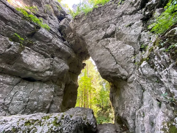 Hells Door Forest Park Golubinjak Sleme Gorski Kotar Croatia Paklena — 스톡 사진