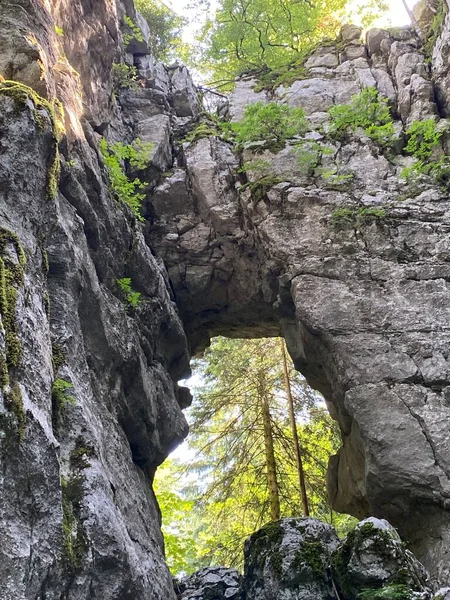 Puerta Del Infierno Parque Forestal Golubinjak Sleme Gorski Kotar Croacia — Foto de Stock