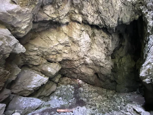 Pigeon Cave Forest Park Golubinjak Sleme Gorski Kotar Croatia Golubinja — Zdjęcie stockowe