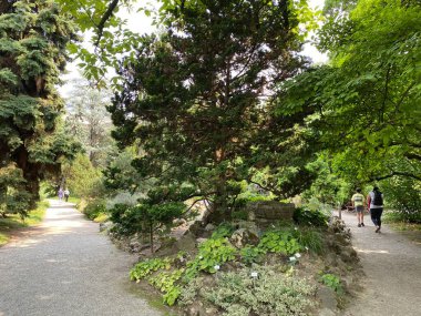 The Zagreb Botanical Garden or Botanical Garden of Faculty of Science - Zagreb, Croatia (Botanicki vrt grada Zagreba ili Botanicki vrt Prirodoslovno-matematickog fakulteta Sveucilista u Zagrebu)