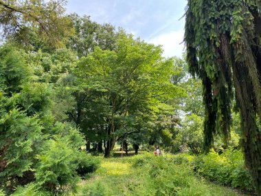 The Zagreb Botanical Garden or Botanical Garden of Faculty of Science - Zagreb, Croatia (Botanicki vrt grada Zagreba ili Botanicki vrt Prirodoslovno-matematickog fakulteta Sveucilista u Zagrebu)