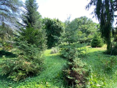 The Zagreb Botanical Garden or Botanical Garden of Faculty of Science - Zagreb, Croatia (Botanicki vrt grada Zagreba ili Botanicki vrt Prirodoslovno-matematickog fakulteta Sveucilista u Zagrebu)