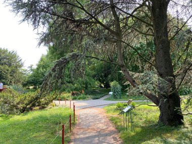 The Zagreb Botanical Garden or Botanical Garden of Faculty of Science - Zagreb, Croatia (Botanicki vrt grada Zagreba ili Botanicki vrt Prirodoslovno-matematickog fakulteta Sveucilista u Zagrebu)
