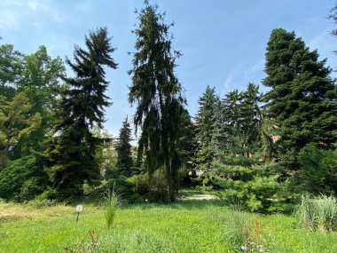 The Zagreb Botanical Garden or Botanical Garden of Faculty of Science - Zagreb, Croatia (Botanicki vrt grada Zagreba ili Botanicki vrt Prirodoslovno-matematickog fakulteta Sveucilista u Zagrebu)