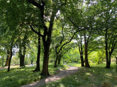 The Zagreb Botanical Garden or Botanical Garden of Faculty of Science - Zagreb, Croatia (Botanicki vrt grada Zagreba ili Botanicki vrt Prirodoslovno-matematickog fakulteta Sveucilista u Zagrebu)