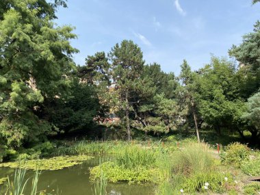 The Zagreb Botanical Garden or Botanical Garden of Faculty of Science - Zagreb, Croatia (Botanicki vrt grada Zagreba ili Botanicki vrt Prirodoslovno-matematickog fakulteta Sveucilista u Zagrebu)