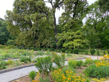 The Zagreb Botanical Garden or Botanical Garden of Faculty of Science - Zagreb, Croatia (Botanicki vrt grada Zagreba ili Botanicki vrt Prirodoslovno-matematickog fakulteta Sveucilista u Zagrebu)