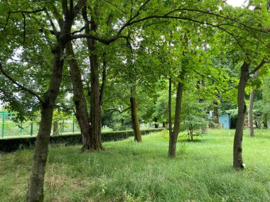 The Zagreb Botanical Garden or Botanical Garden of Faculty of Science - Zagreb, Croatia (Botanicki vrt grada Zagreba ili Botanicki vrt Prirodoslovno-matematickog fakulteta Sveucilista u Zagrebu)