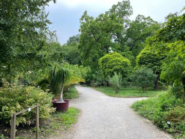 The Zagreb Botanical Garden or Botanical Garden of Faculty of Science - Zagreb, Croatia (Botanicki vrt grada Zagreba ili Botanicki vrt Prirodoslovno-matematickog fakulteta Sveucilista u Zagrebu)