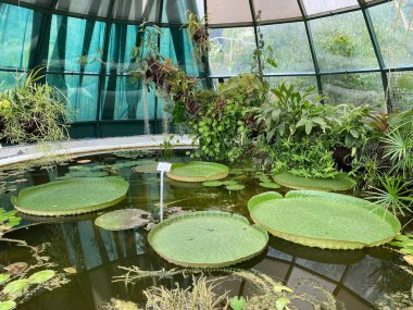 The Zagreb Botanical Garden or Botanical Garden of Faculty of Science - Zagreb, Croatia (Botanicki vrt grada Zagreba ili Botanicki vrt Prirodoslovno-matematickog fakulteta Sveucilista u Zagrebu)