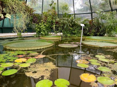 The Zagreb Botanical Garden or Botanical Garden of Faculty of Science - Zagreb, Croatia (Botanicki vrt grada Zagreba ili Botanicki vrt Prirodoslovno-matematickog fakulteta Sveucilista u Zagrebu)