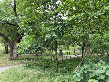 The Zagreb Botanical Garden or Botanical Garden of Faculty of Science - Zagreb, Croatia (Botanicki vrt grada Zagreba ili Botanicki vrt Prirodoslovno-matematickog fakulteta Sveucilista u Zagrebu)