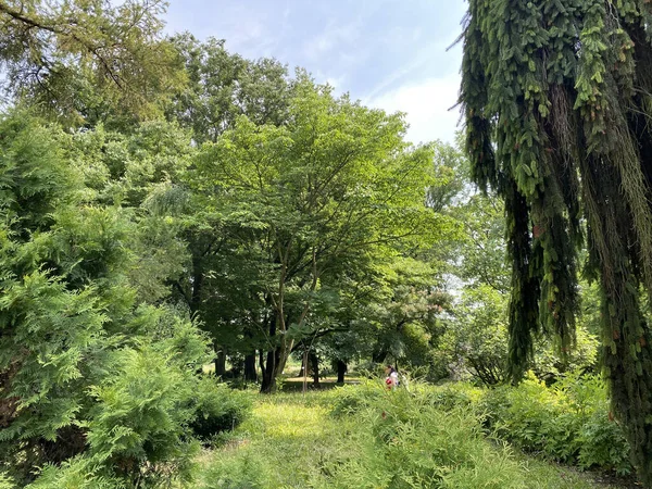 The Zagreb Botanical Garden or Botanical Garden of Faculty of Science - Zagreb, Croatia (Botanicki vrt grada Zagreba ili Botanicki vrt Prirodoslovno-matematickog fakulteta Sveucilista u Zagrebu)