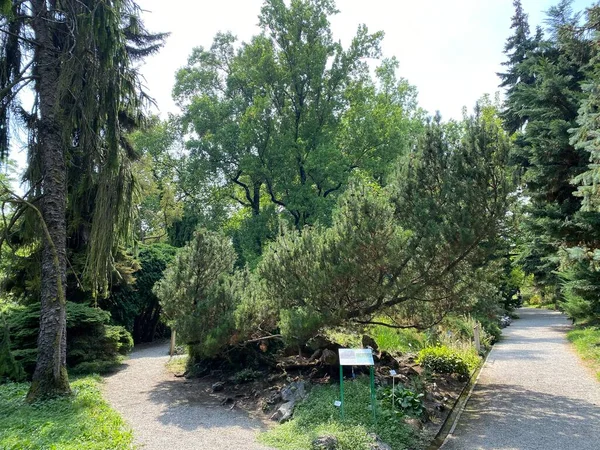 Zagreb Botanical Garden Botanical Garden Faculty Science Zagreb Croatia Botanicki — Fotografia de Stock