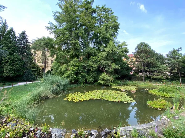 Zagreb Botanical Garden Botanical Garden Faculty Science Zagreb Croatia Botanicki — Zdjęcie stockowe
