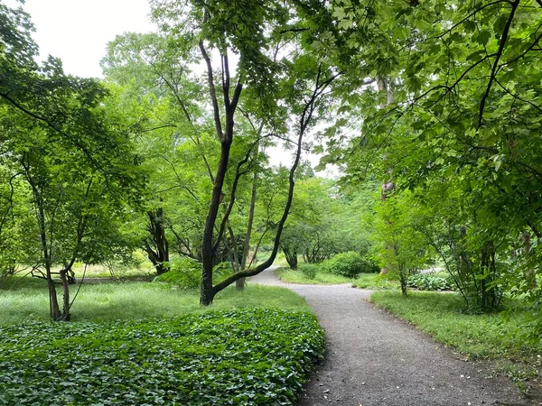 Zagreb Botanical Garden Botanical Garden Faculty Science Zagreb Croatia Botanicki — 图库照片